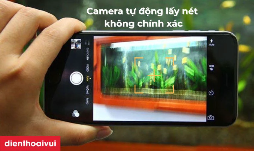 Camera tự động lấy nét không chính xác