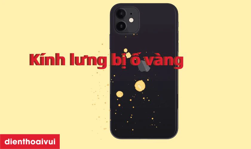 Kính lưng bị phai màu hoặc ố vàng