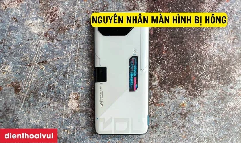 Nguy&ecirc;n nh&acirc;n m&agrave;n h&igrave;nh Asus Rog Phone 7 bị lỗi
