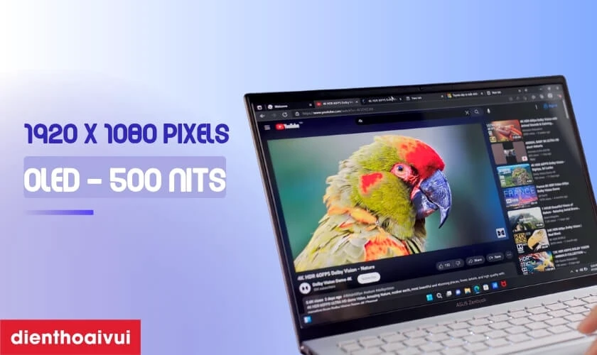Đặc điểm nổi bật của màn hình ASUS Zenbook OLED Ux3402
