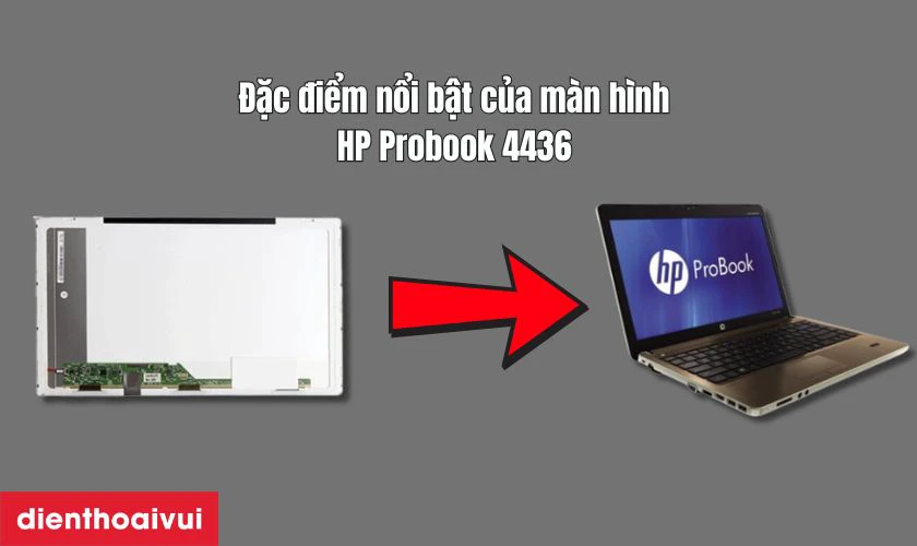 Đặc điểm nổi bật của màn hình HP Probook 4436