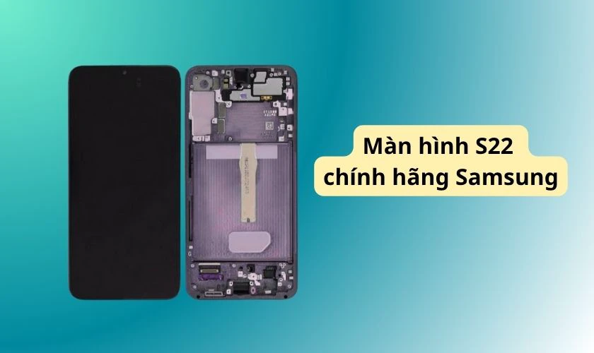 thay màn s22