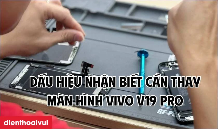 Các dấu hiệu báo hiệu bạn cần nhanh chóng thay màn hình Vivo V19 Pro