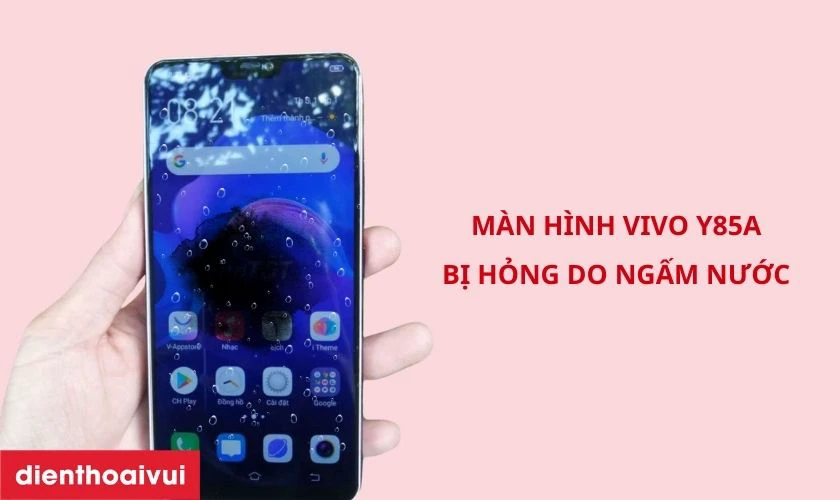 Màn hình hỏng do ngấm nước