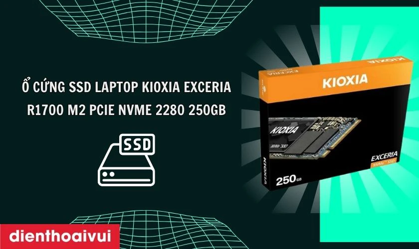Ổ cứng SSD laptop Kioxia EXCERIA R1700 M2 PCIE NVME 2280 250GB