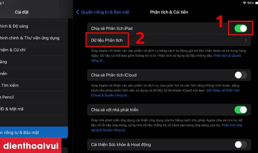 Bật thanh gạt Chia sẻ Phân tích iPad rồi nhấn Dữ liệu Phân tích