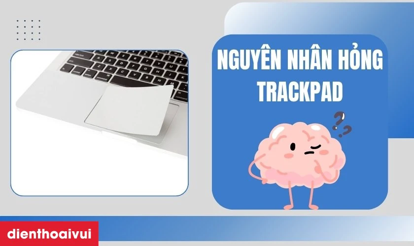 Nguyên nhân hỏng trackpad
