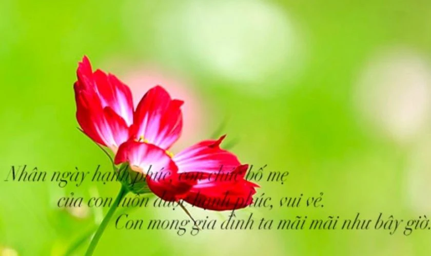 Thiệp ngày Quốc tế Hạnh phúc 20/3/2025 cho gia đình đẹp