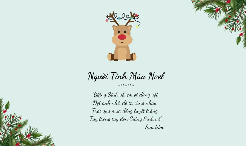 Người Tình Mùa Noel