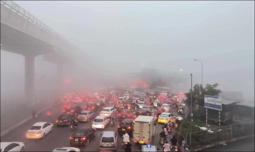 Thời tiết Tết Dương 2025 năm nay có phần khắc nghiệt hơn so với năm trước