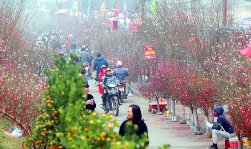 Hà Nội se lạnh nên giữ ấm dịp Tết Dương 2025