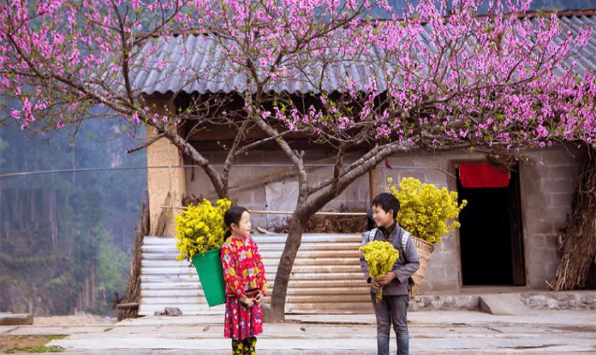 Hà Giang khô ráo, hơi lạnh vào Tết Dương lịch 2025
