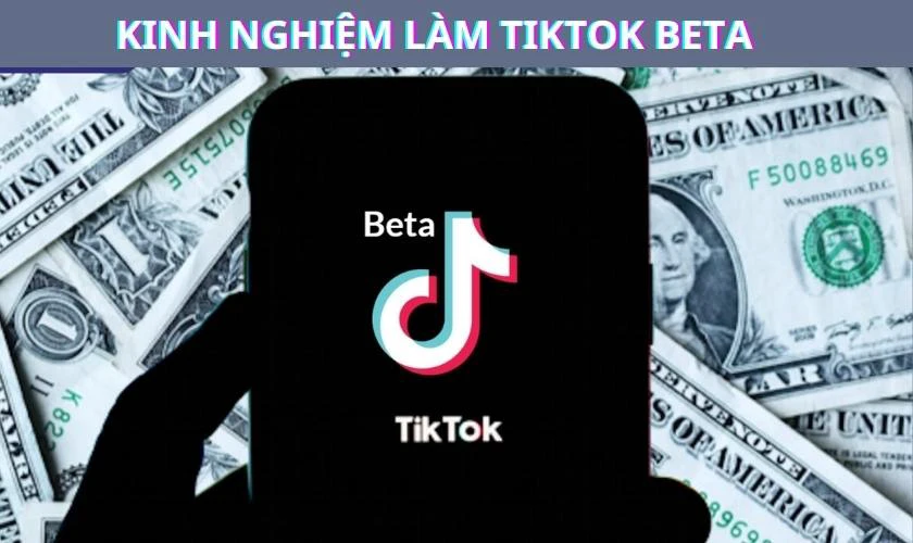 Kinh nghiệm làm TikTok Beta để kiếm tiền là gì?