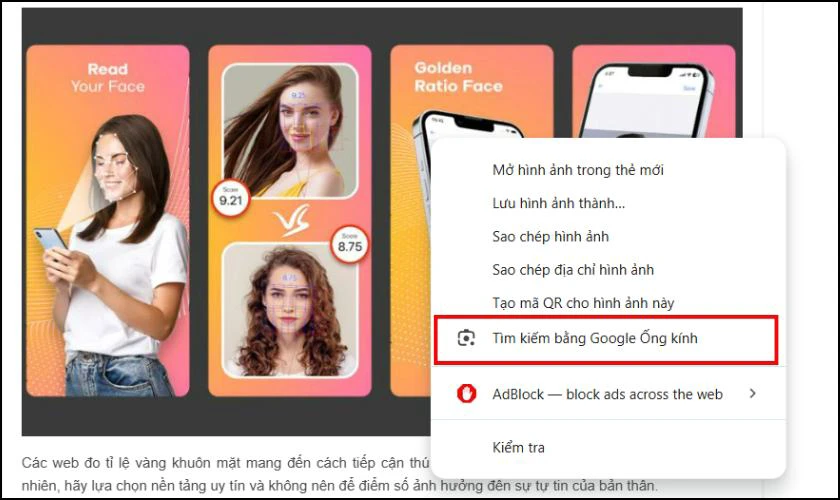 Tìm kiếm bằng hình ảnh trên trang web