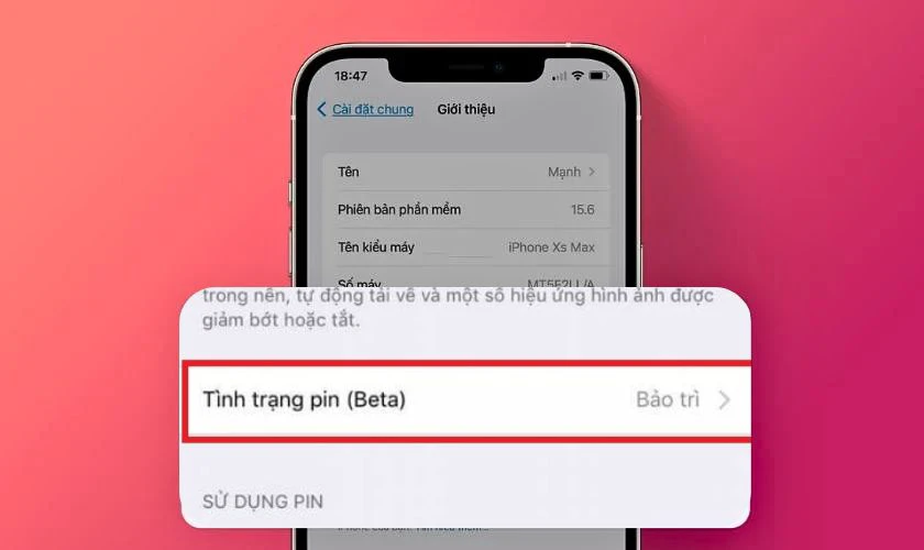 Tình trạng pin bảo trì là gì?
