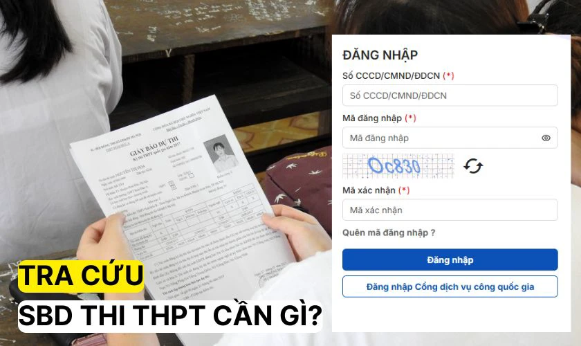 Tra số báo danh thi cần thông tin gì?