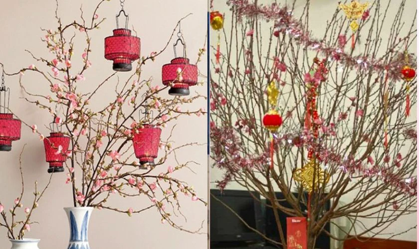 Trang trí cây đào ngày Tết với lồng đèn