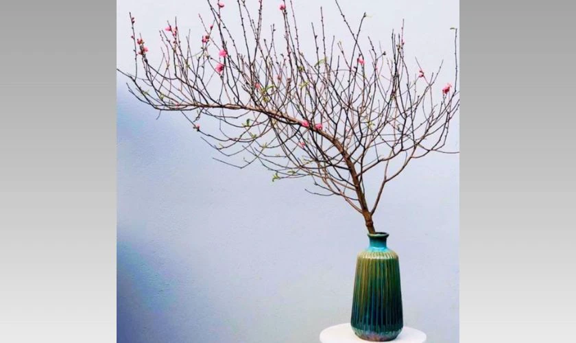 Mẫu cắm hoa đào trong lọ