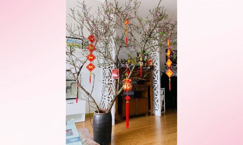 Trang trí cây đào ngày Tết bằng câu đối nhỏ