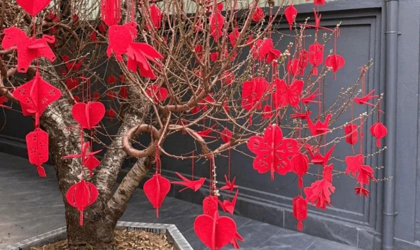 Cách trang trí cây mai ngày Tết với đồ decor mini