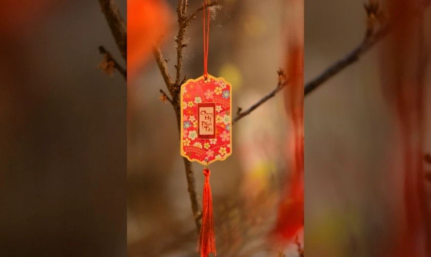 Cách trang trí cây mai với câu đối đỏ