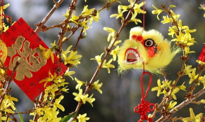 Cách trang trí cây mai ngày Tết với bao lì xì