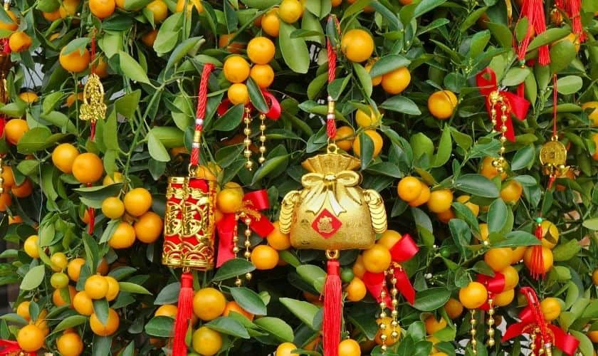 Cách trang trí cây mai với thỏi vàng may mắn