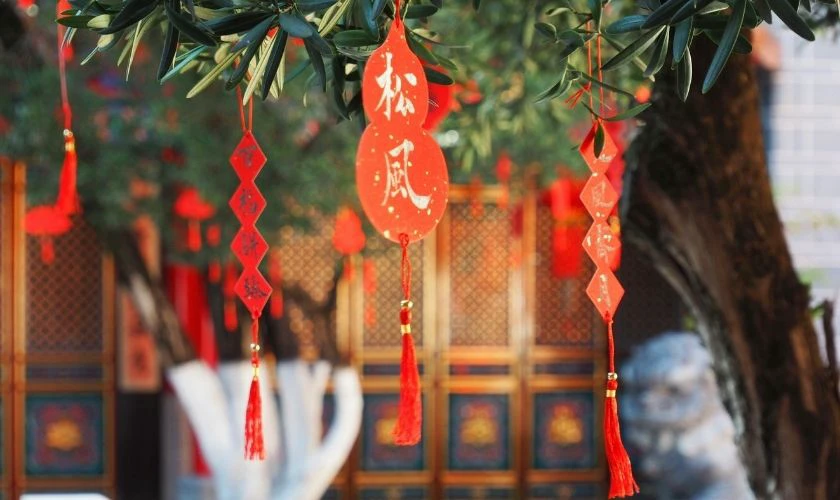 Cách trang trí cây mai với thiệp chúc Tết màu đỏ