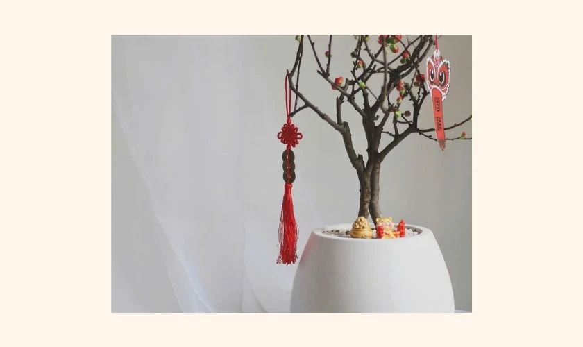 Cách trang trí cây mai ngày Tết với dây treo đồng xu