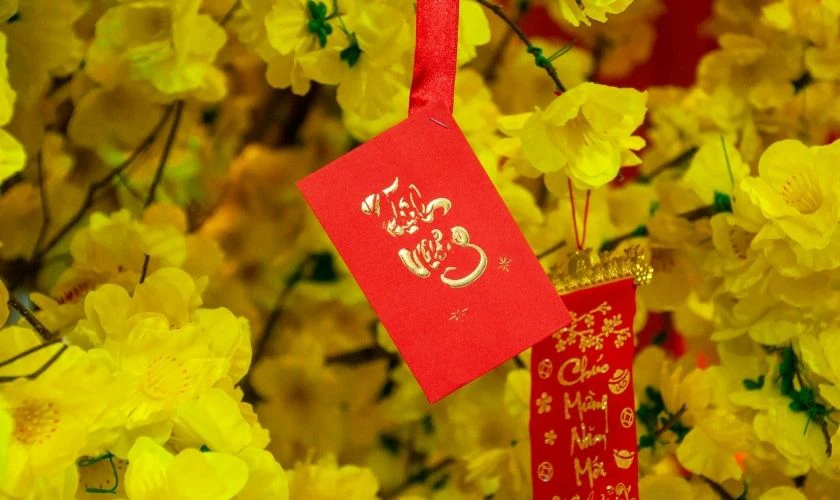 Lưu ý cần tránh khi trang trí cây mai ngày Tết