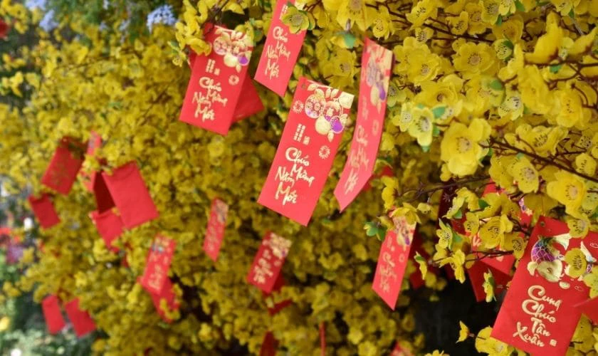 Ảnh bao lì xì đẹp