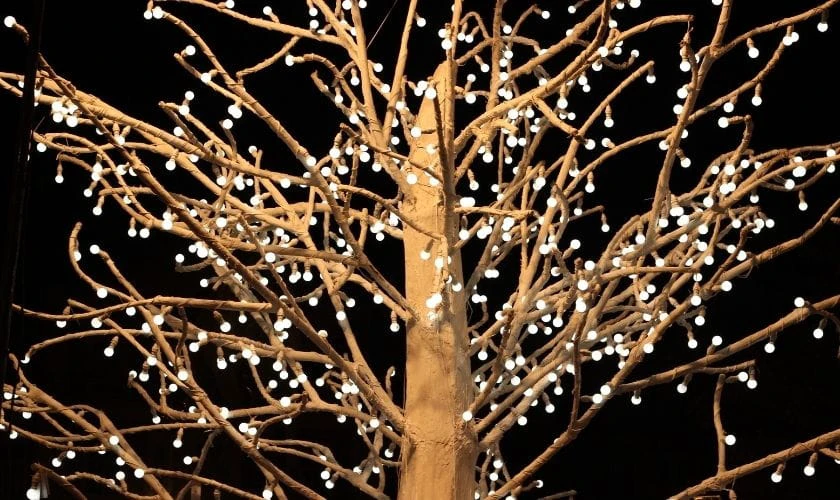 Ảnh đèn led decor