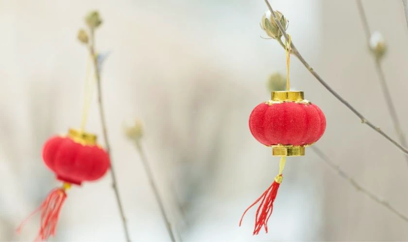 Cách trang trí cây mai ngày Tết với lồng đèn