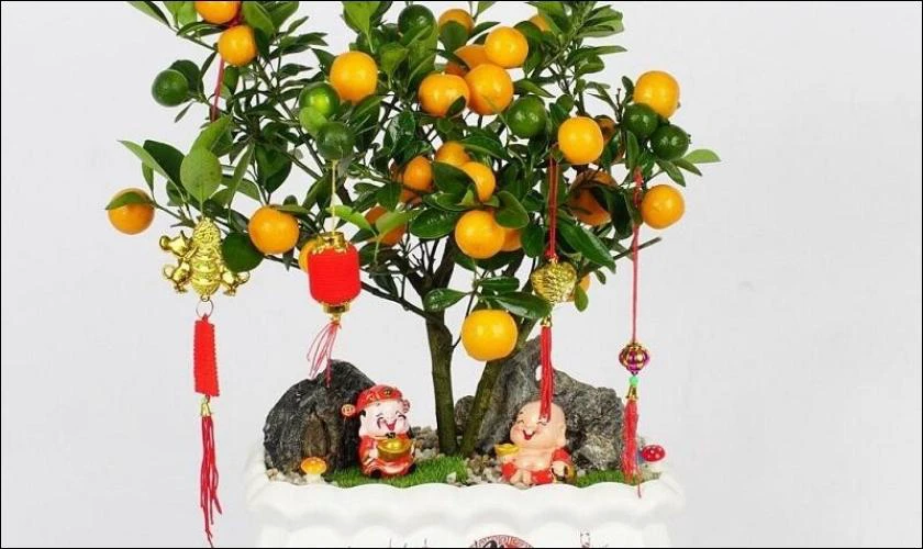 Cách Trang Trí Cây Quất Ngày Tết Với Lồng Đèn
