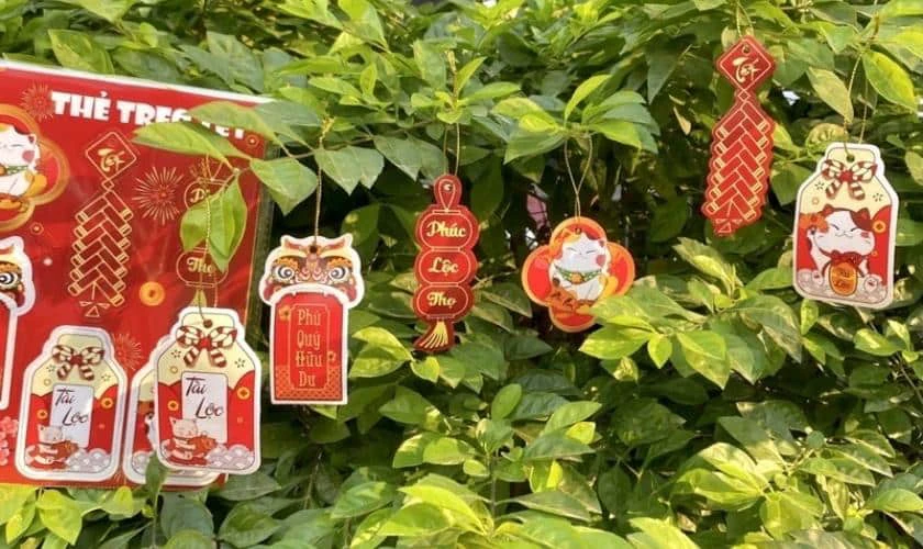 Cách Trang Trí Cây Quất Ngày Tết Với Thiệp Chúc Tết Đẹp