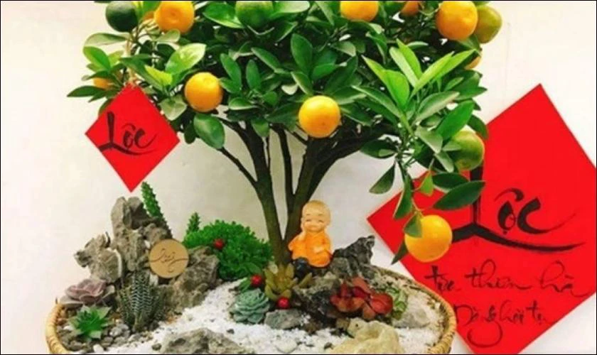 Cách Trang Trí Cây Quất Ngày Tết Với Dây Treo Chữ