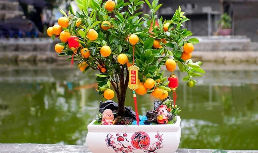 Trang Trí Với Câu Đối