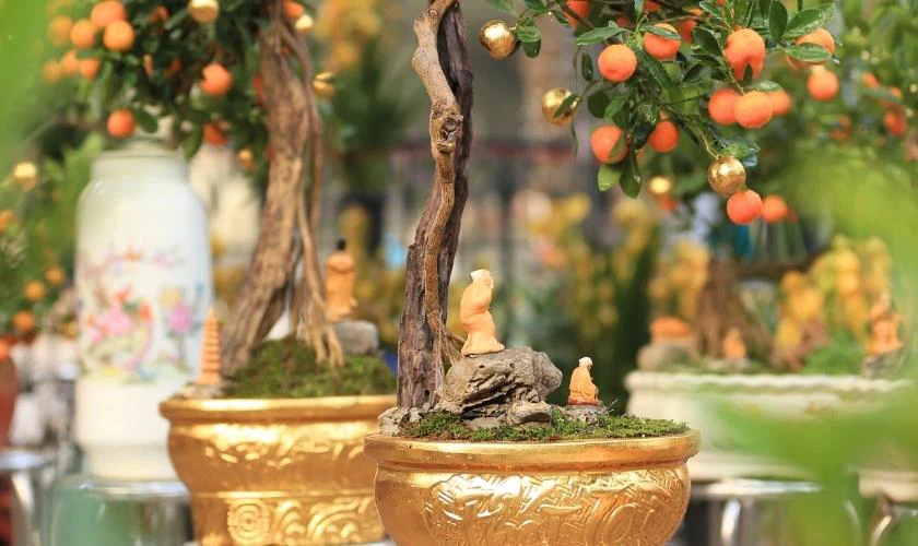Cách Trang Trí Cây Quất Ngày Tết Với Chậu Kiểng Tạo Hình Mới Đẹp
