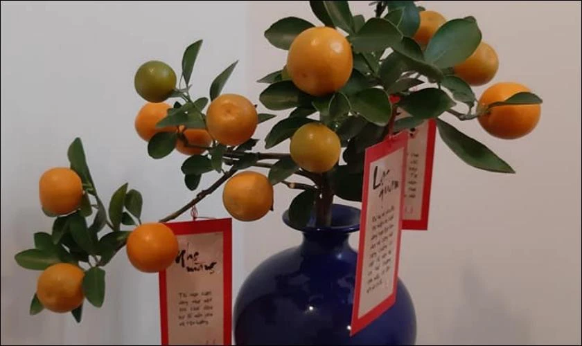 Cách Trang Trí Ngày Tết Với Thẻ Chữ Thư Pháp Đẹp