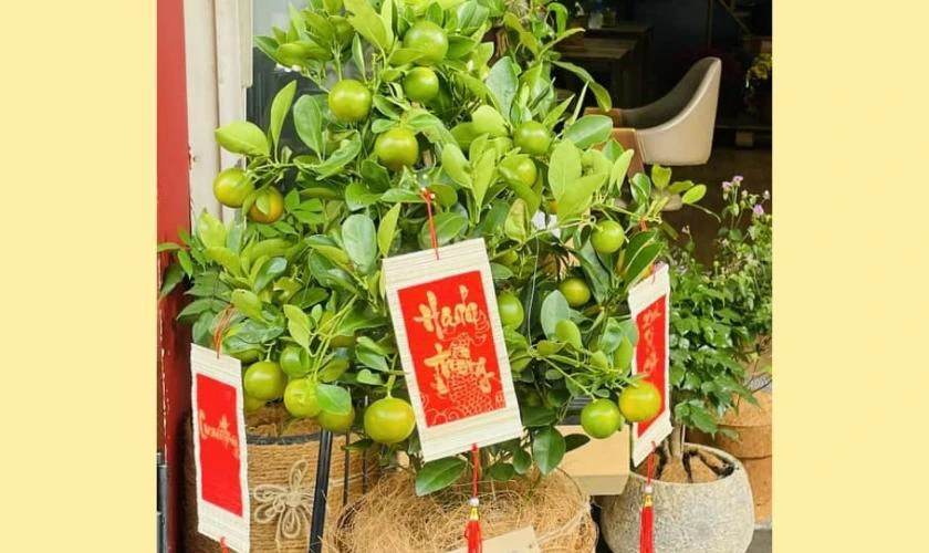 Cách Trang Trí Ngày Tết Với Thẻ Chữ Thư Pháp Ấn Tượng