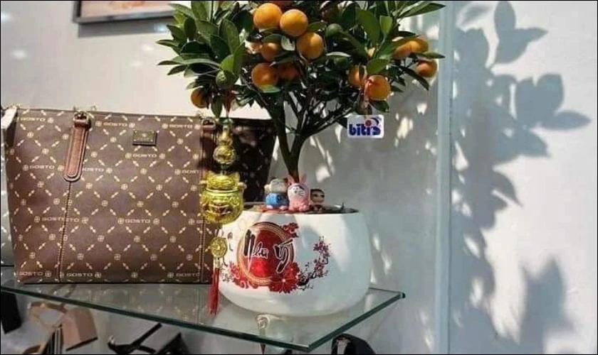 Cách Trang Trí Cây Quất Ngày Tết Cho Cửa Hàng Đẹp