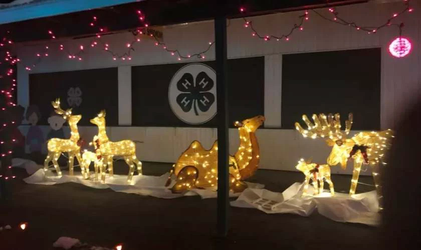 Trang trí với tuần lộc và xe chở quà ngập tràn không khí noel