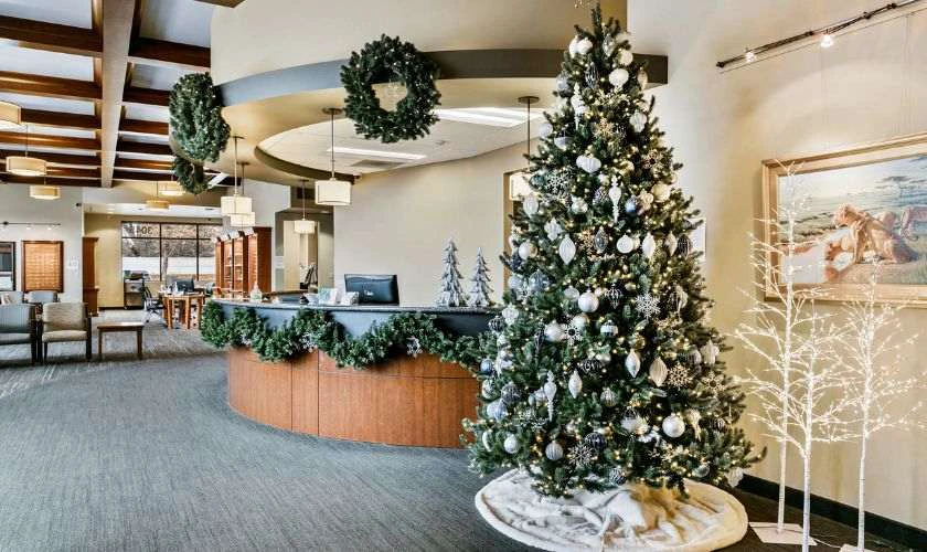 Trang trí văn phòng bằng cây thông Noel