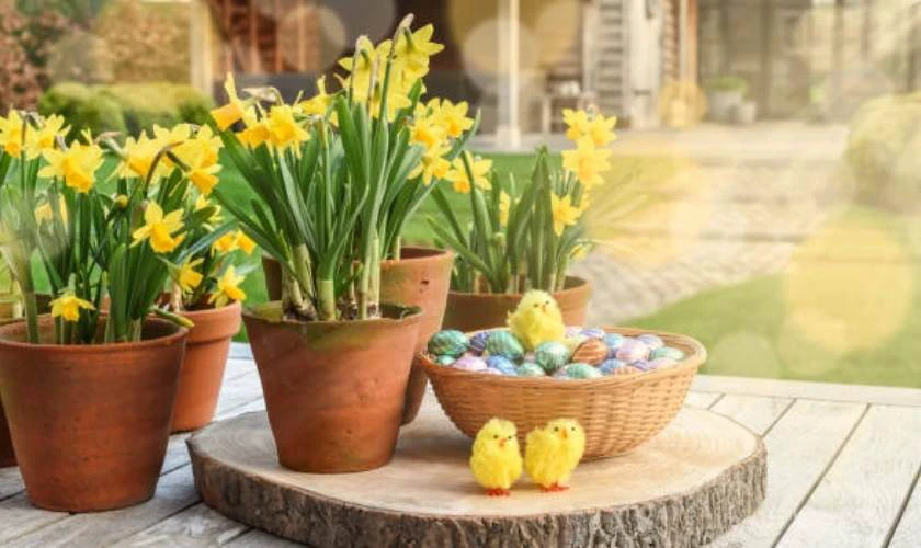 Decor Easter Day 2026 với với vườn hoa tươi, hoa khô