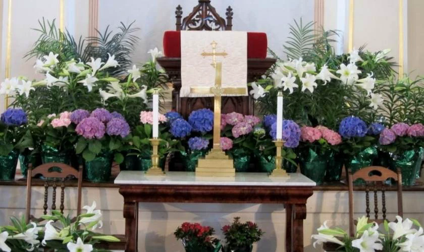 Decor Easter Day 2026 với với vườn hoa tươi, hoa khô gần gũi