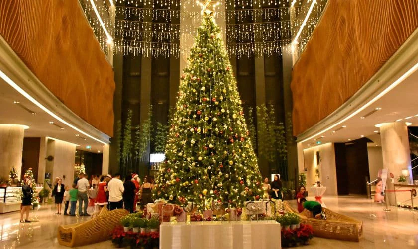 Decor cây thông và đèn led