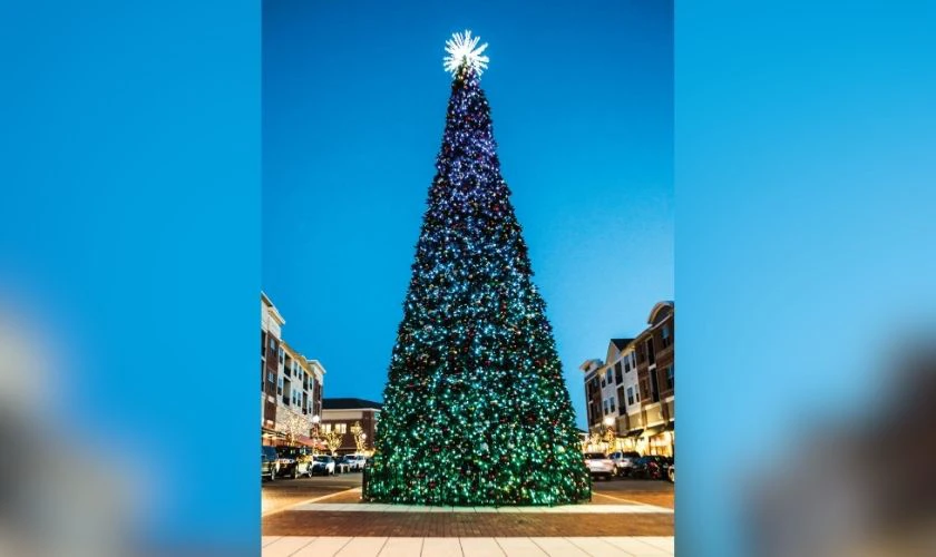 Trang trí Giáng sinh ngoài trời bằng cây thông Noel