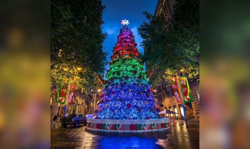 Trang trí Noel ngoài trời bằng cây thông