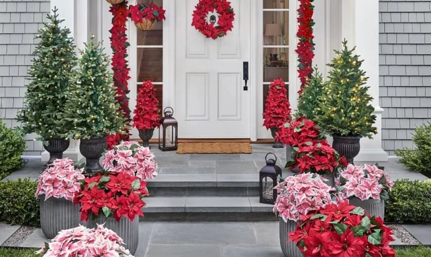 Trang trí Noel ngoài trời bằng chậu hoa, cây cảnh