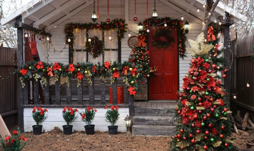 Trang trí Noel ngoài trời bằng chậu cây cảnh